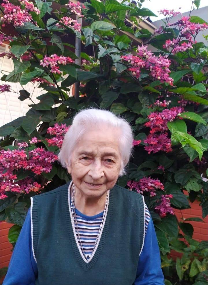 Imagem de capa do artigo